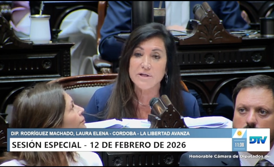 Reforma Penal Juvenil  Debate en Camara de Diputados