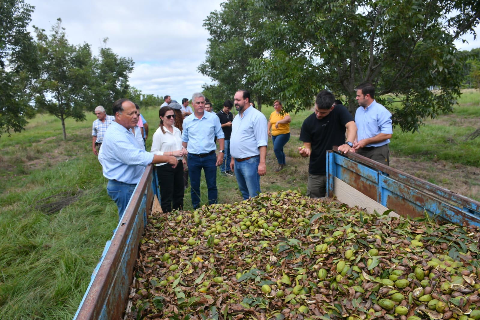 Corrientes ya exporta nuez pecan a Emiratos Árabes, Europa y China