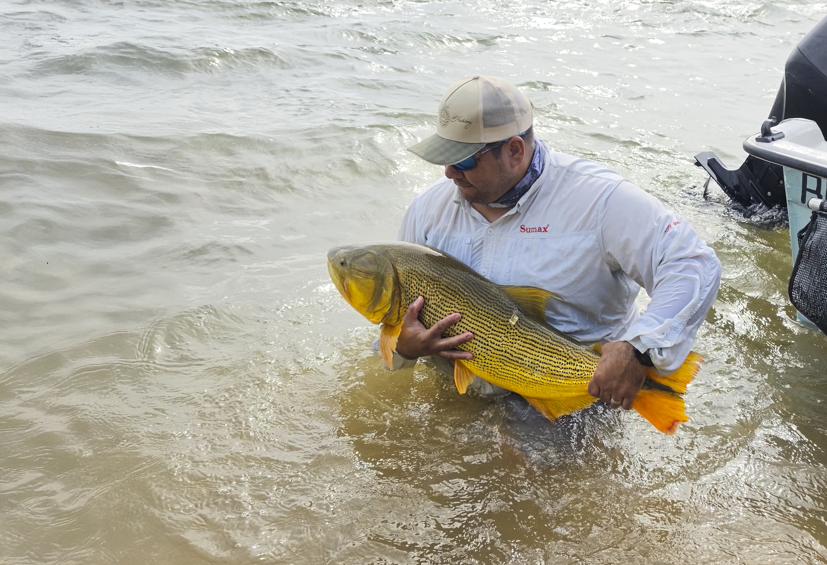 “Tras la Estela del Tigre”: Corrientes avanza en la conservación científica del dorado