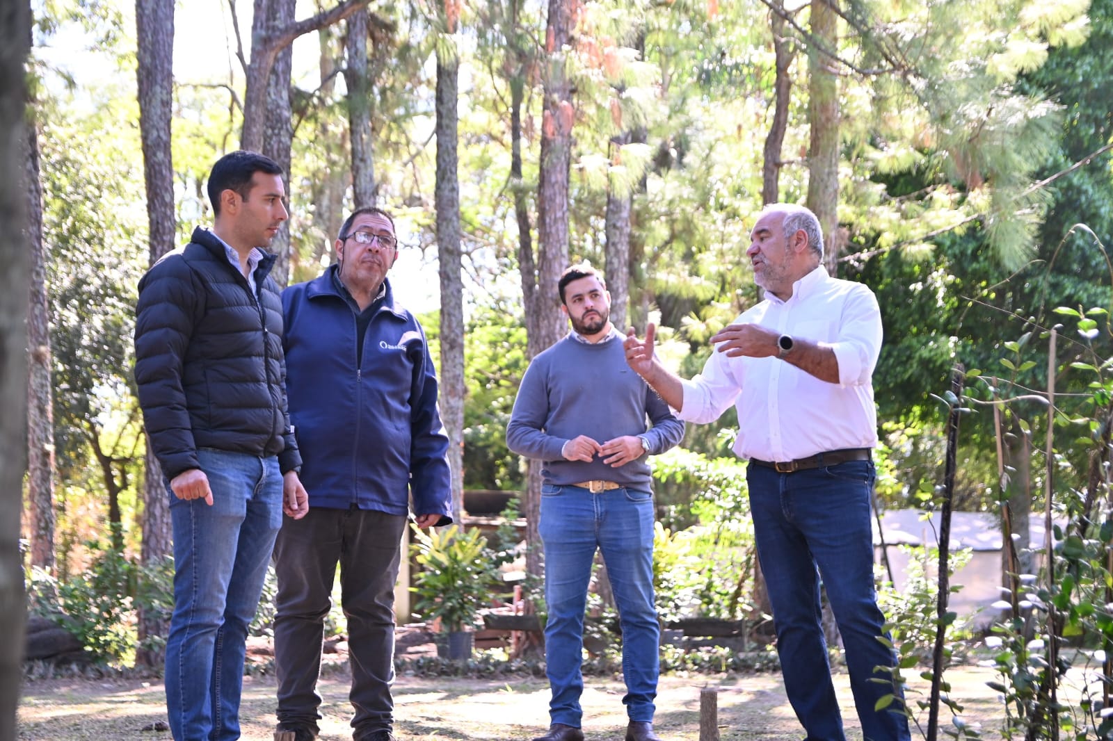 La Municipalidad lanzó un amplio plan de arbolado a largo plazo para reverdecer la ciudad