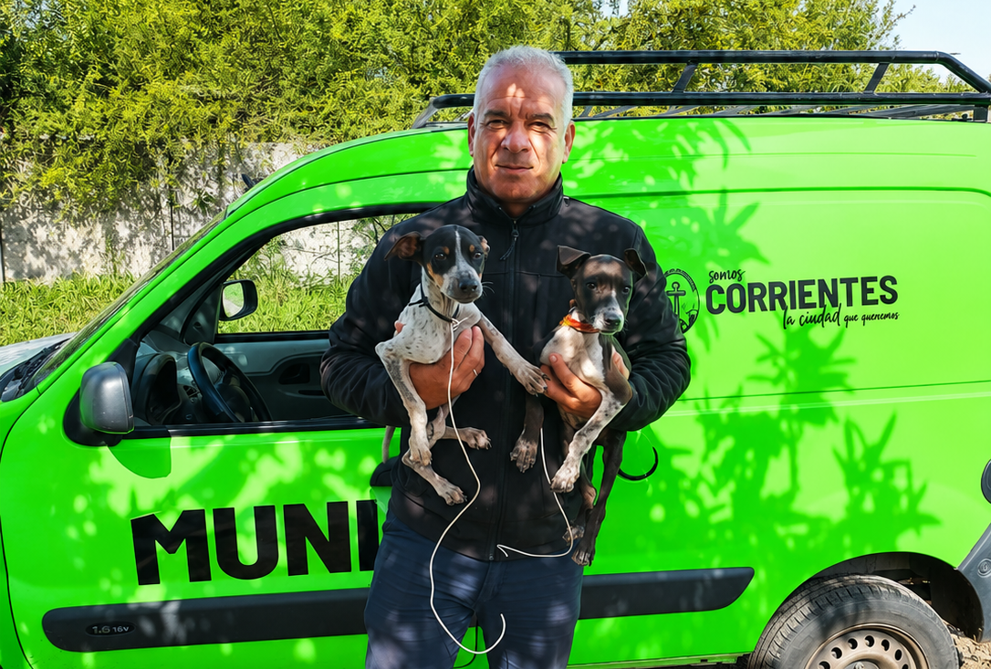 El Municipio rescató dos cachorros desnutridos tras una denuncia en el barrio Jardín