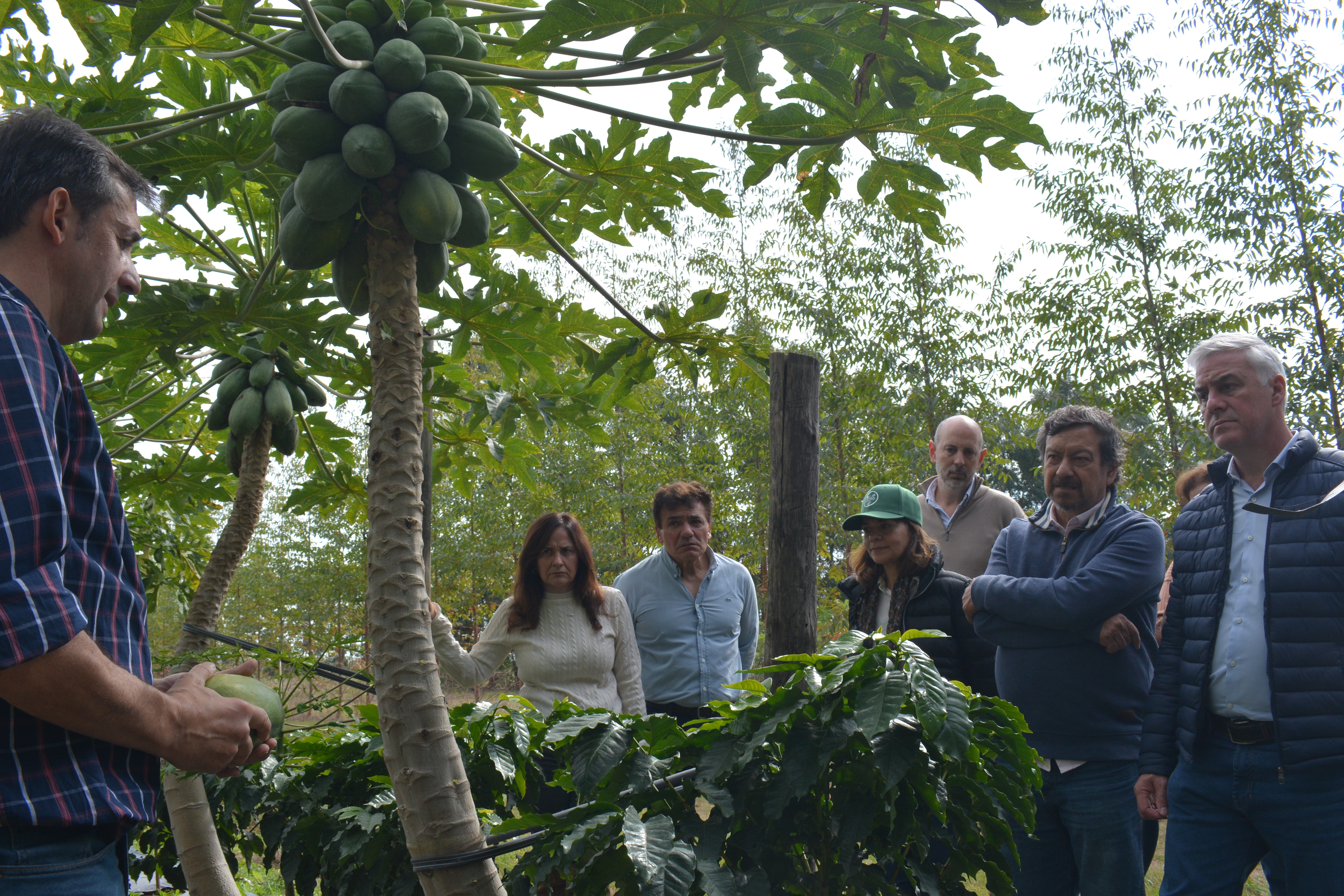 Corrientes avanza con una experiencia pionera de café de especialidad y proyecta su primera cosecha para 2027