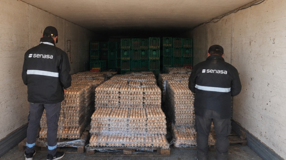 SENASA incautó y destruyó casi 4.900 docenas de huevos por incumplimientos sanitarios