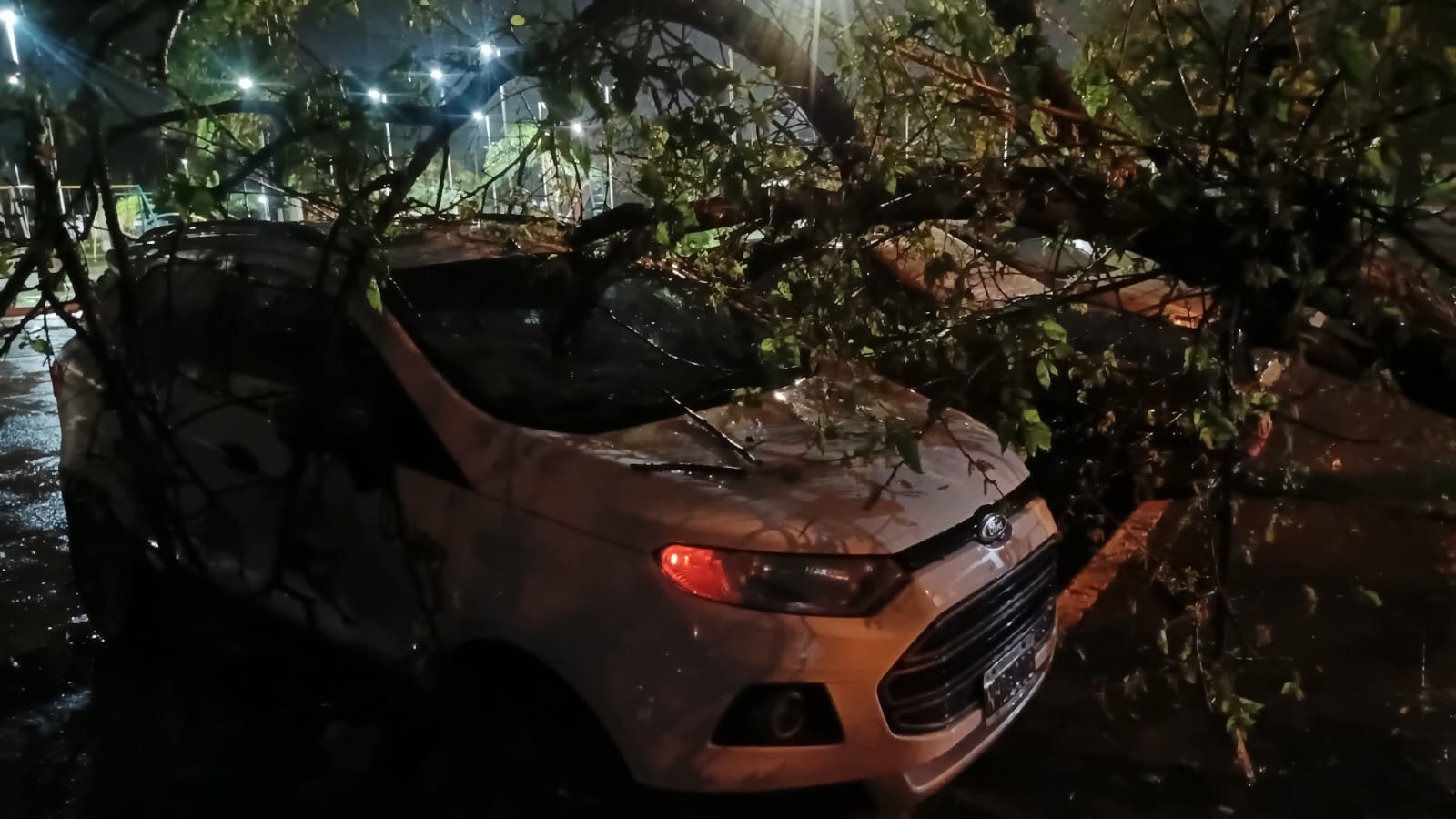 Tras el fuerte temporal, la Municipalidad normalizó la ciudad con un amplio operativo de respuesta