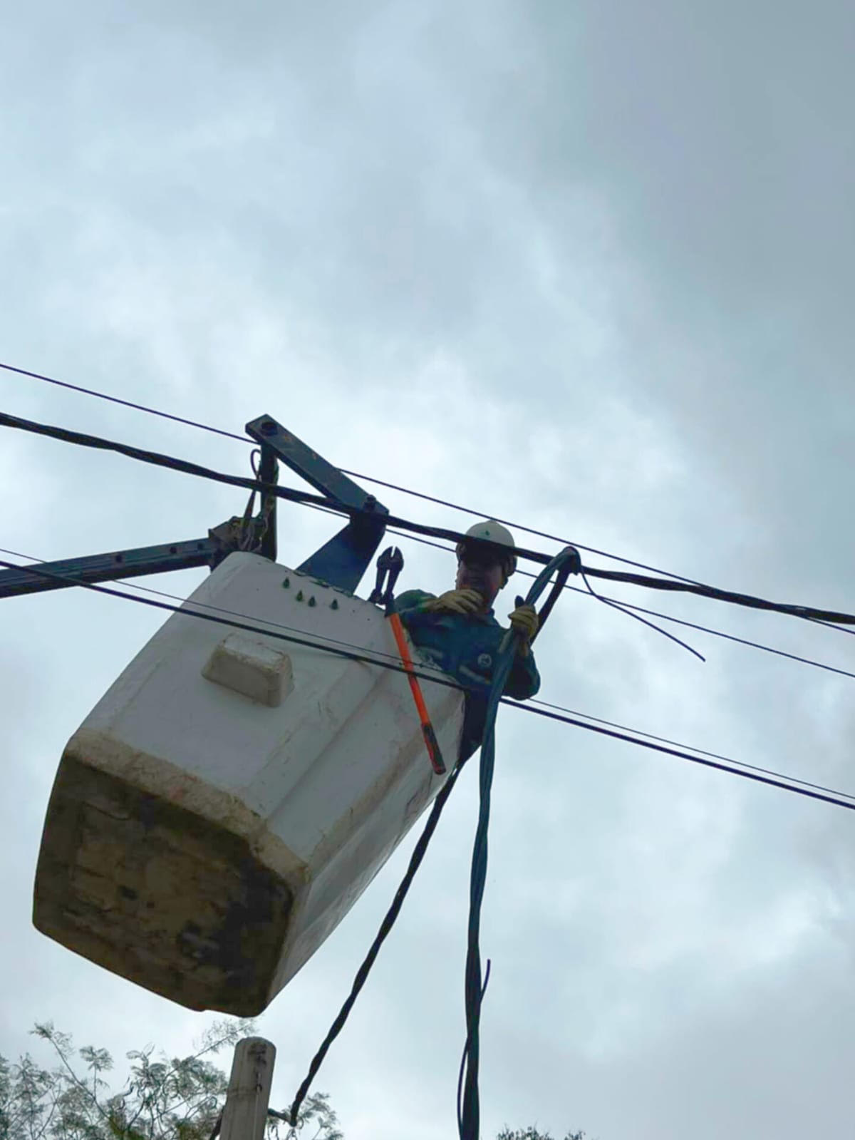 La DPEC realizará trabajos de mejoras en Capital y el interior provincial 